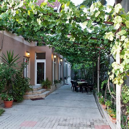 Pensiunea Miorita Arad Exterior foto
