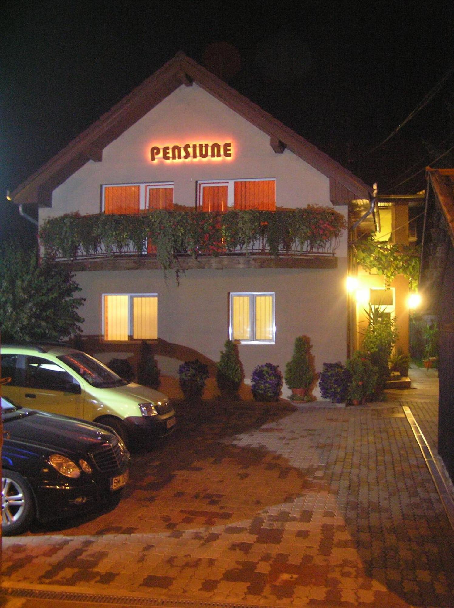 Pensiunea Miorita Arad Exterior foto