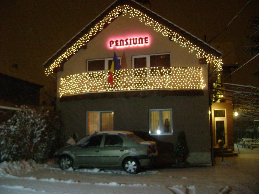 Pensiunea Miorita Arad Exterior foto